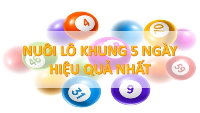 Tỷ lệ trúng thưởng và mức độ an toàn khi nuôi bạch thủ lô với khung 5 ngày rất cao