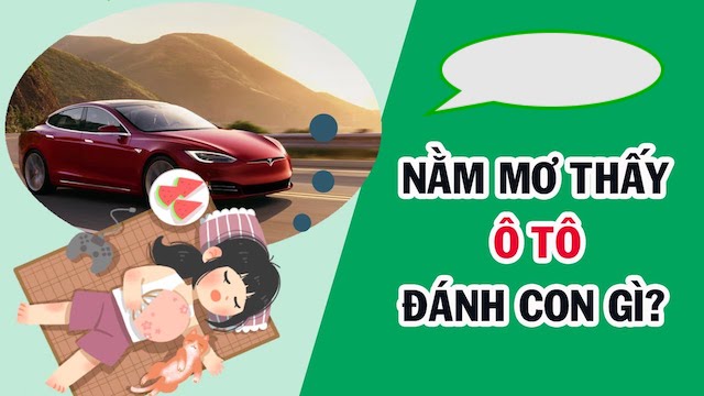 Mơ thấy mình lái xe đánh con gì?