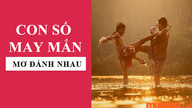 Những con số liên quan giấc mơ đánh nhau