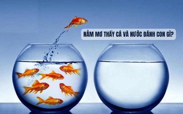 Nên đánh đề con gì khi nằm mơ thấy cá và nước? Nên đánh đề con gì khi nằm mơ thấy cá và nước?