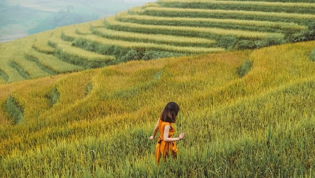 Ngủ mơ thấy đi du lịch với mẹ mang theo điềm báo tốt hay xấu? Ngủ mơ thấy đi du lịch với mẹ mang theo điềm báo tốt hay xấu?