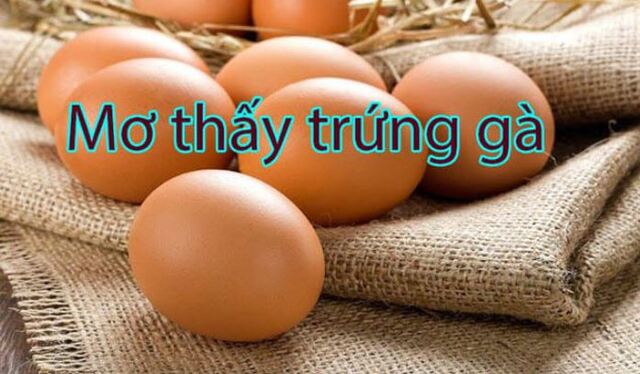 Giải mã giấc mơ thấy trứng gà? Bật mí số đẹp trong sổ mơ Giải mã giấc mơ thấy trứng gà? Bật mí số đẹp trong sổ mơ