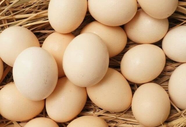 Mơ thấy trong ổ càng nhiều trứng bên trong thì khoản tài lộc bạn nhận được sẽ càng cao Mơ thấy trong ổ càng nhiều trứng bên trong thì khoản tài lộc bạn nhận được sẽ càng cao