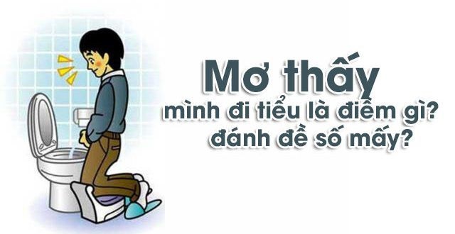 Giải mã ý nghĩa giấc mộng thấy đi tiểu Giải mã ý nghĩa giấc mộng thấy đi tiểu