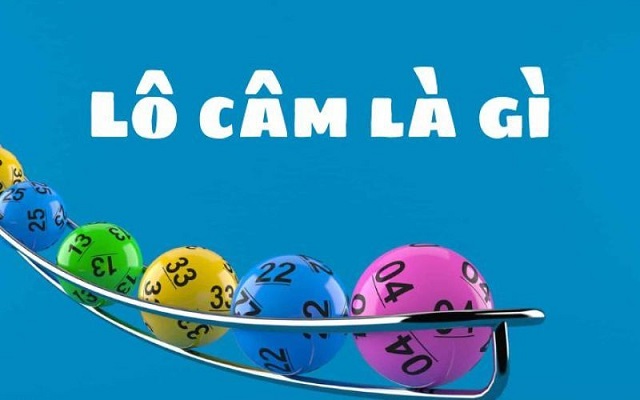 Lô đầu câm là gì? Lô đầu câm là gì?