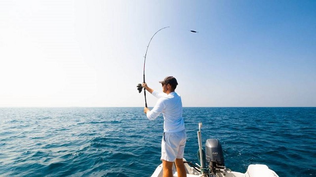 Nằm mơ thấy cá và giải mã hình ảnh Nằm mơ thấy cá và giải mã hình ảnh