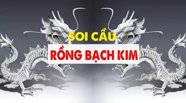 Bạc nhớ Rồng Bạch Kim là gì? Bạc nhớ Rồng Bạch Kim là gì?