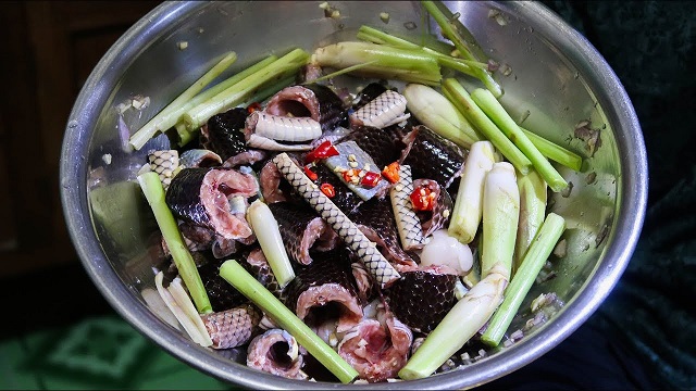 Mơ ăn thịt rắn Mơ ăn thịt rắn