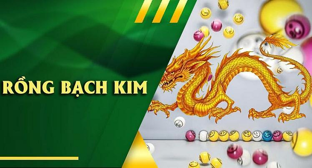 Rồng Bạch Kim bạc nhớ hoạt động ra sao? Rồng Bạch Kim bạc nhớ hoạt động ra sao?