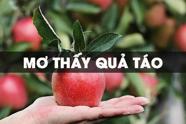 Mơ thấy quả táo là điềm báo gì và nên đánh lô nào Mơ thấy quả táo là điềm báo gì và nên đánh lô nào