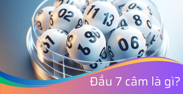 Hướng dẫn tân thủ cách nhận biết đầu 7 câm một cách chuẩn xác