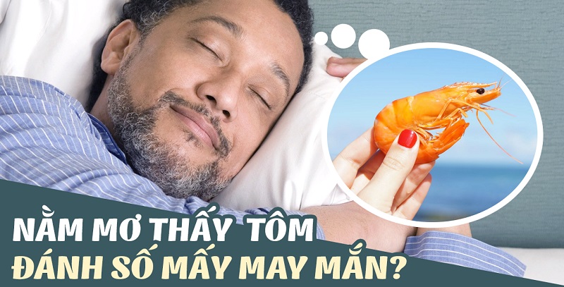 Đánh con gì khi mơ thấy hình ảnh tôm chín? Đánh con gì khi mơ thấy hình ảnh tôm chín?