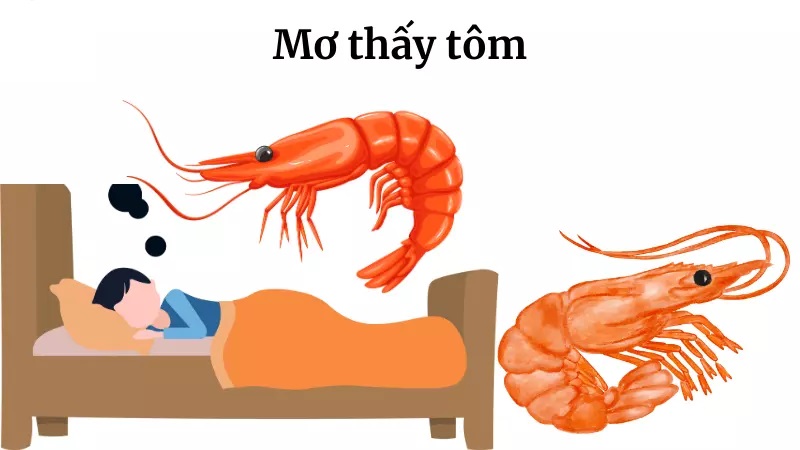 Mơ thấy tôm chính ẩn chứa nhiều điềm báo quan trọng