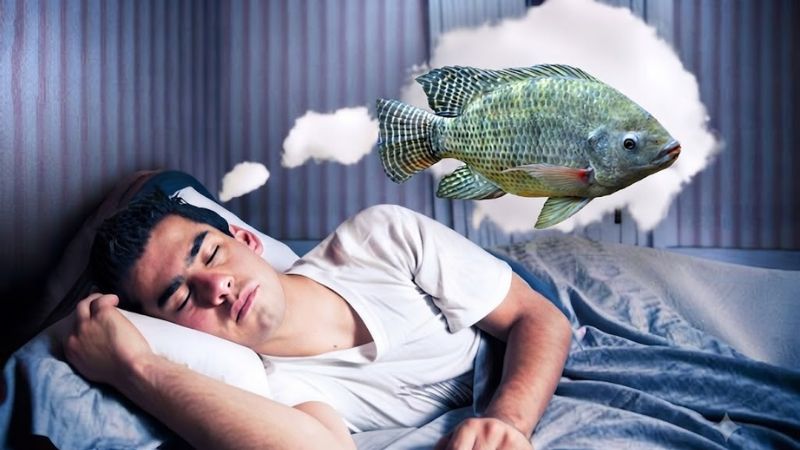 Giải mã điềm báo khi nằm mơ thấy cá rô